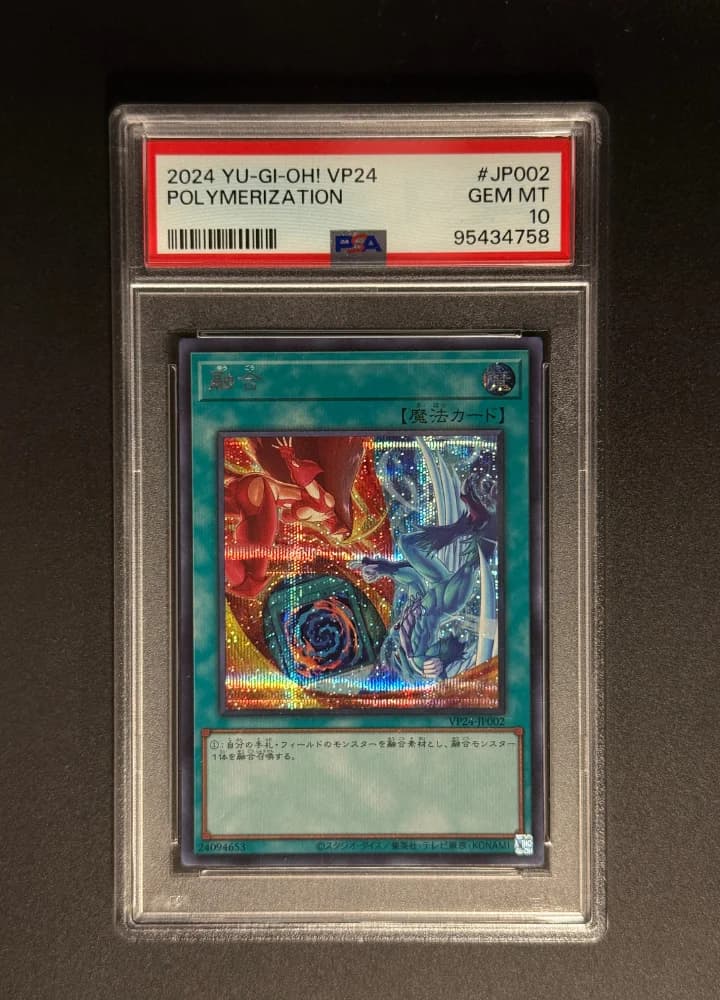 PSA10 Polymerization VP24 JP2